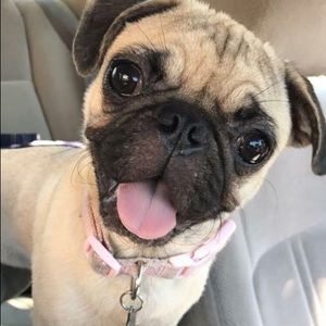 Meet your Posher, Nancy